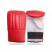 Boxing Bag Mitt