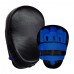 Boxing Training Focus Pad